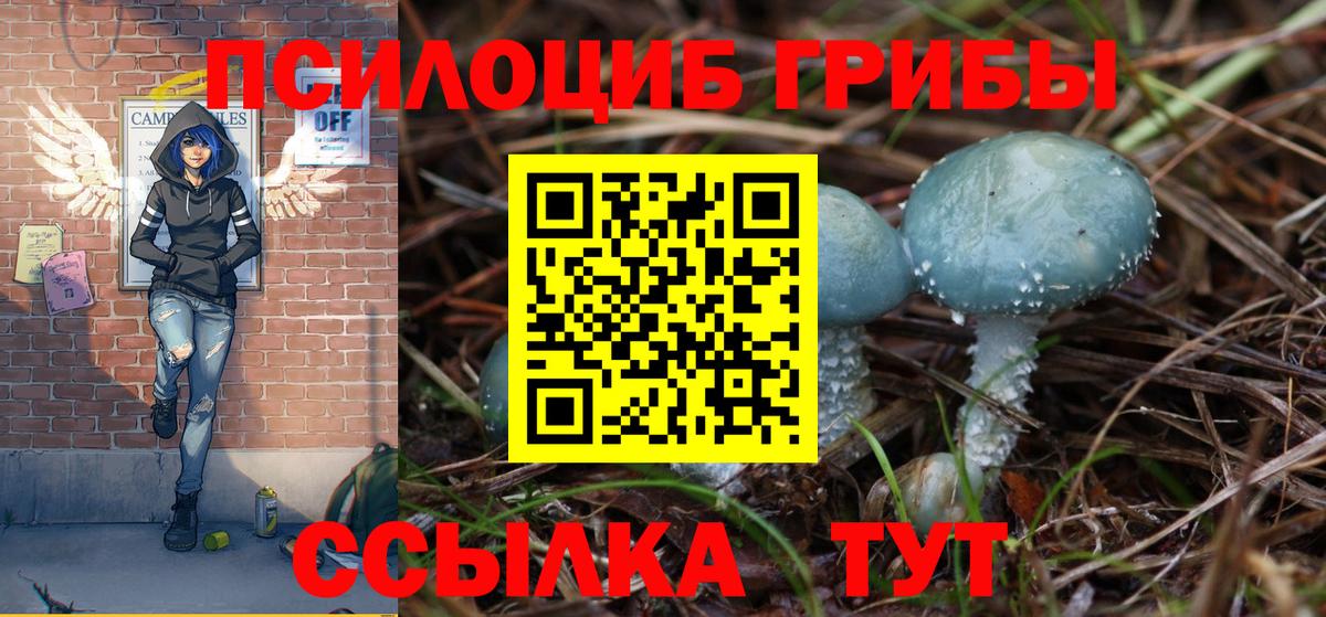 Псилоцибиновые грибы Cubensis  Галлюциногенные грибы GOLDEN TEACHER  Вход с VPN  Жуковский 
